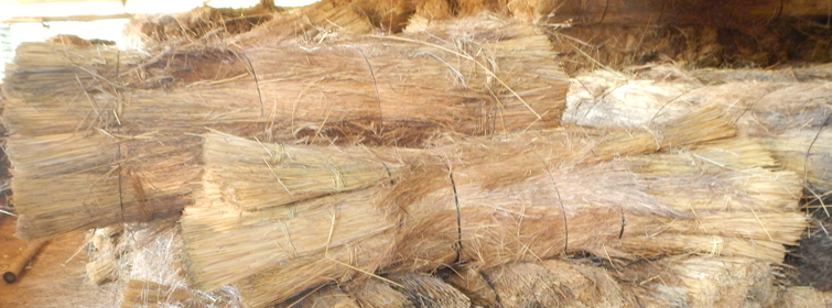 Thatching Grass